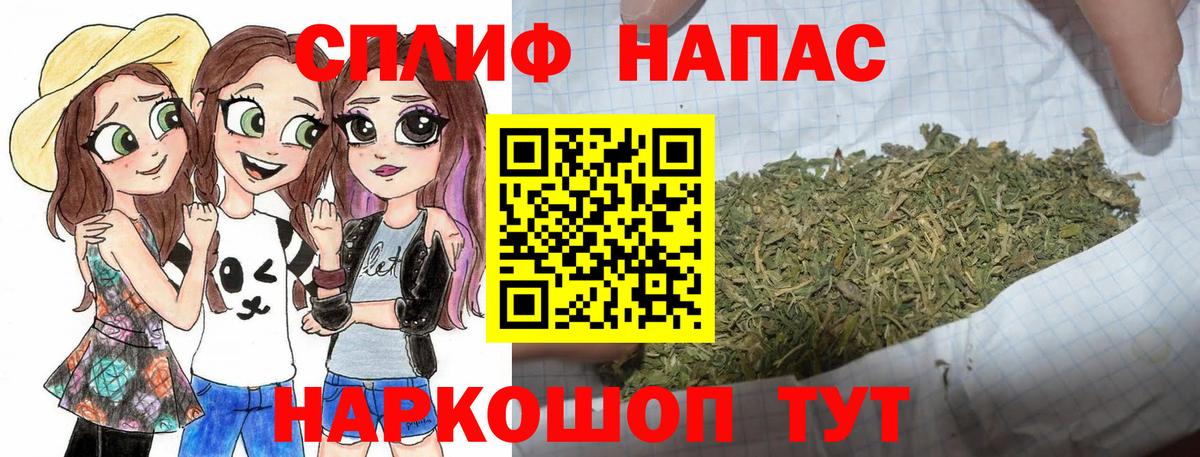 Каннабис планчик  Конопля Bruce Banner  МАРИХУАНА гибрид  Курчалой  Канабис SATIVA & INDICA  Вход с VPN 
